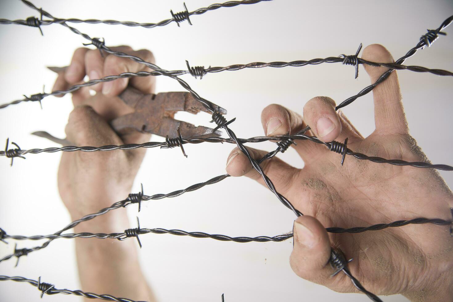 Hands in barbed wire photo