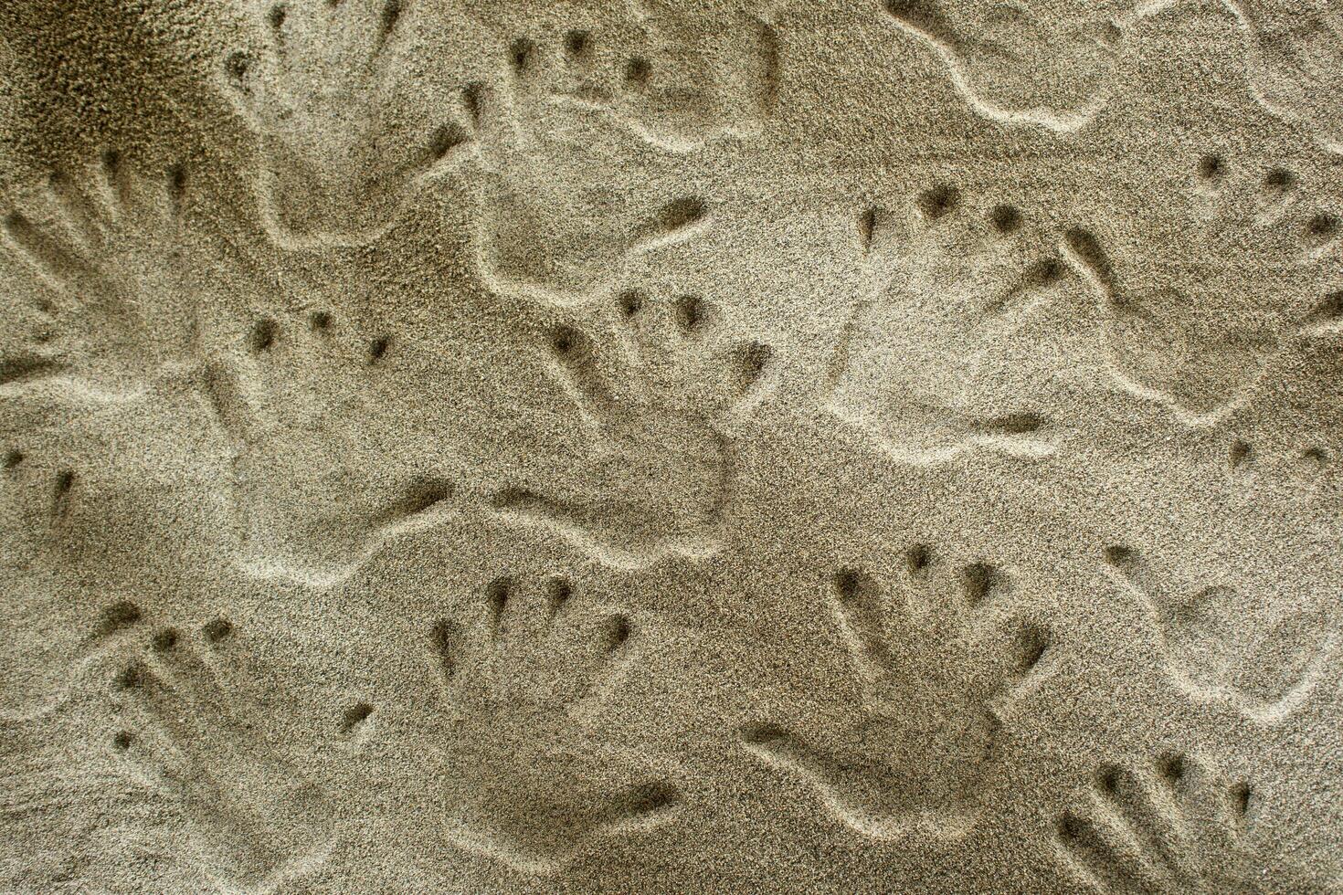 Handprints In The Sand photo