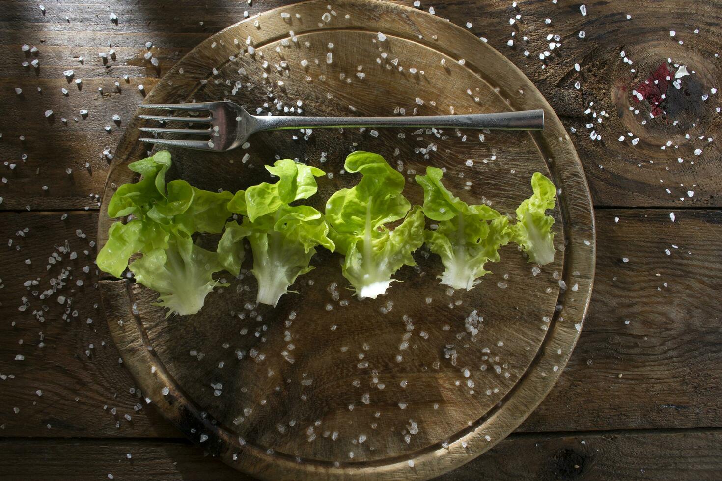 Plate of salad photo