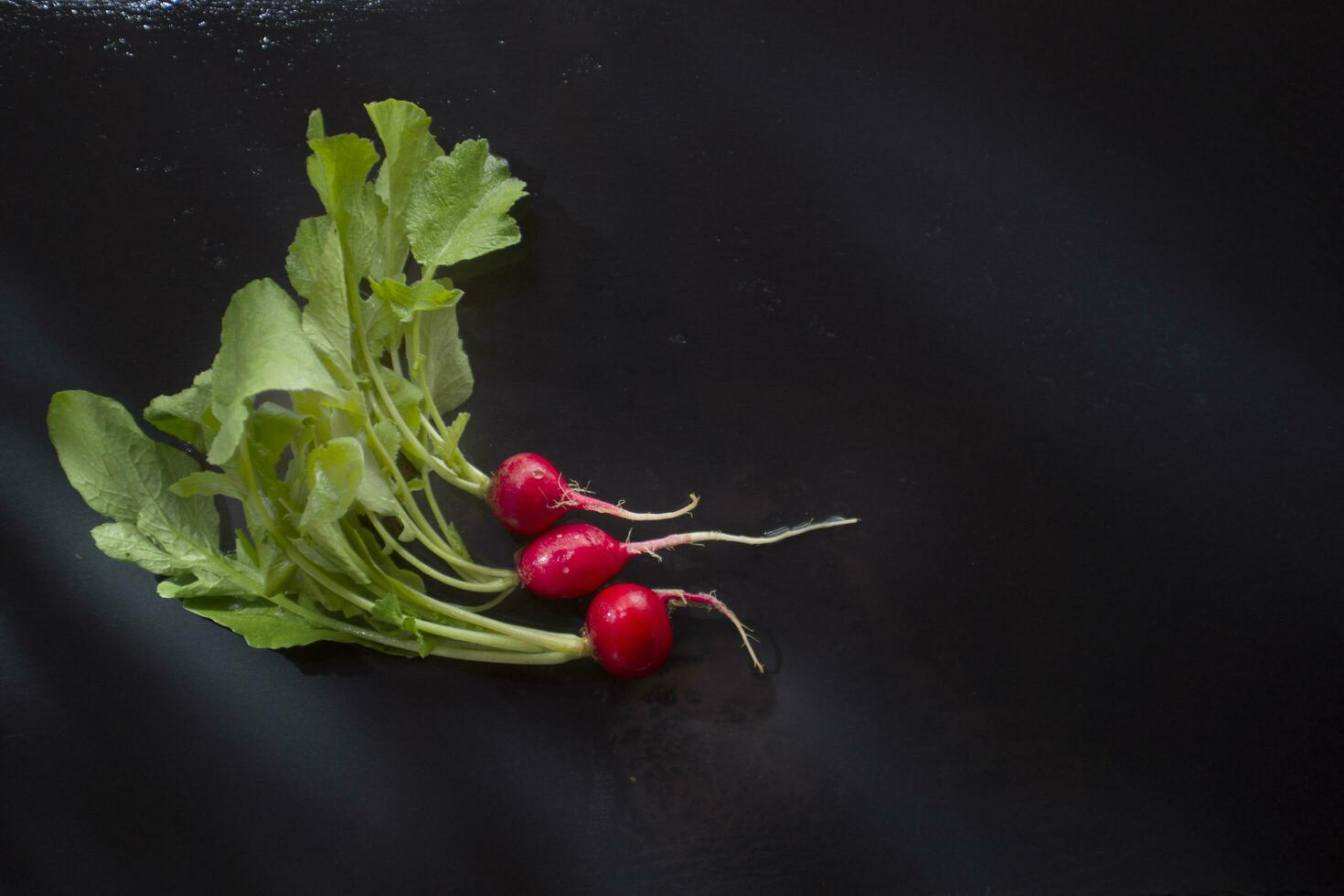 Fresh red radish photo
