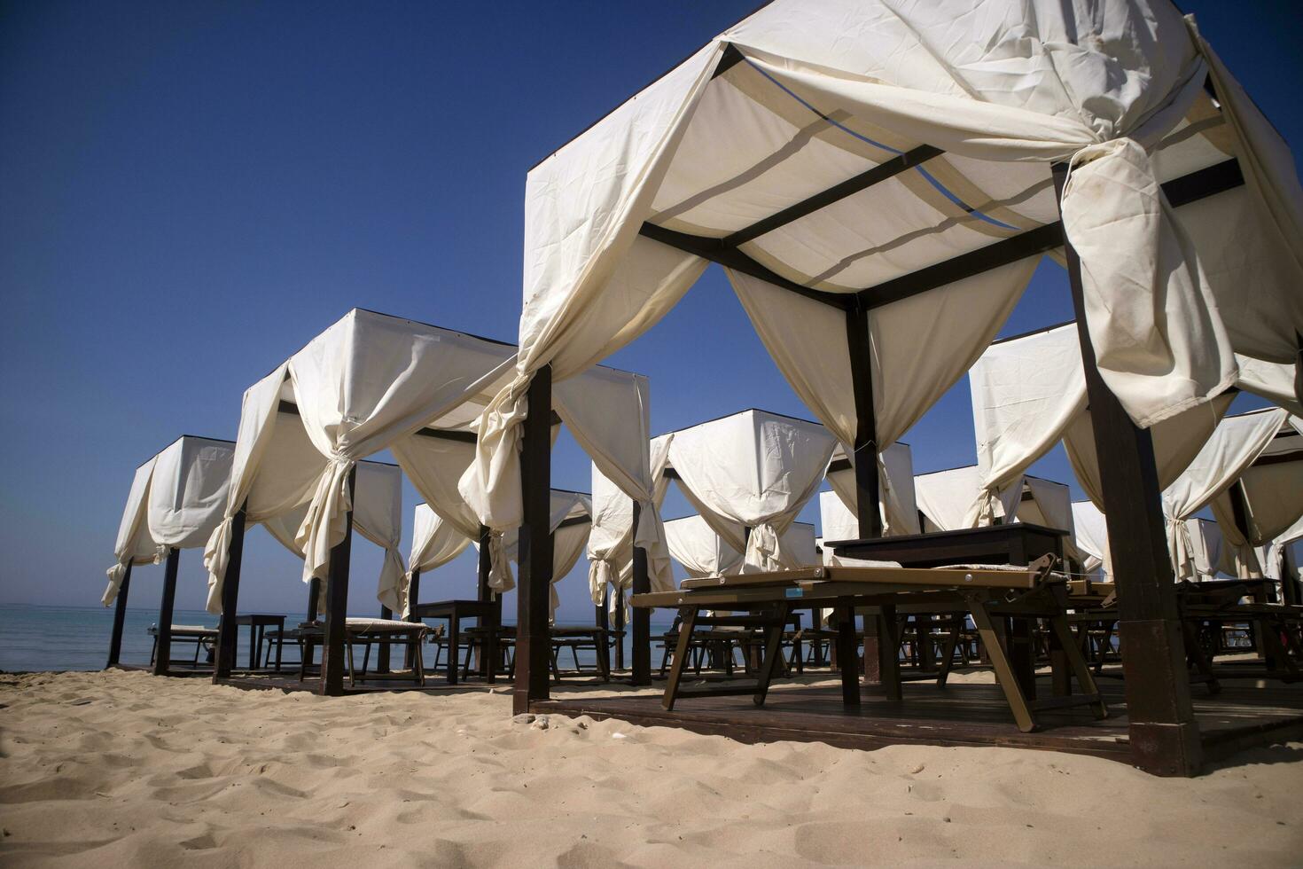 a group of white umbrellas photo