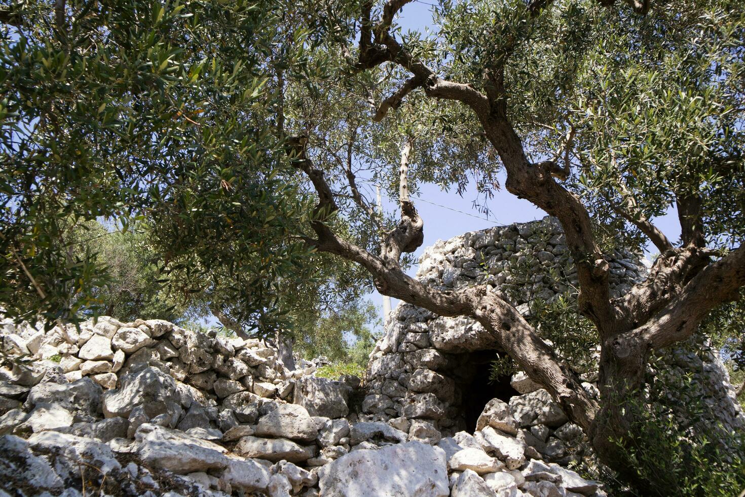 The Pajare of Salento photo