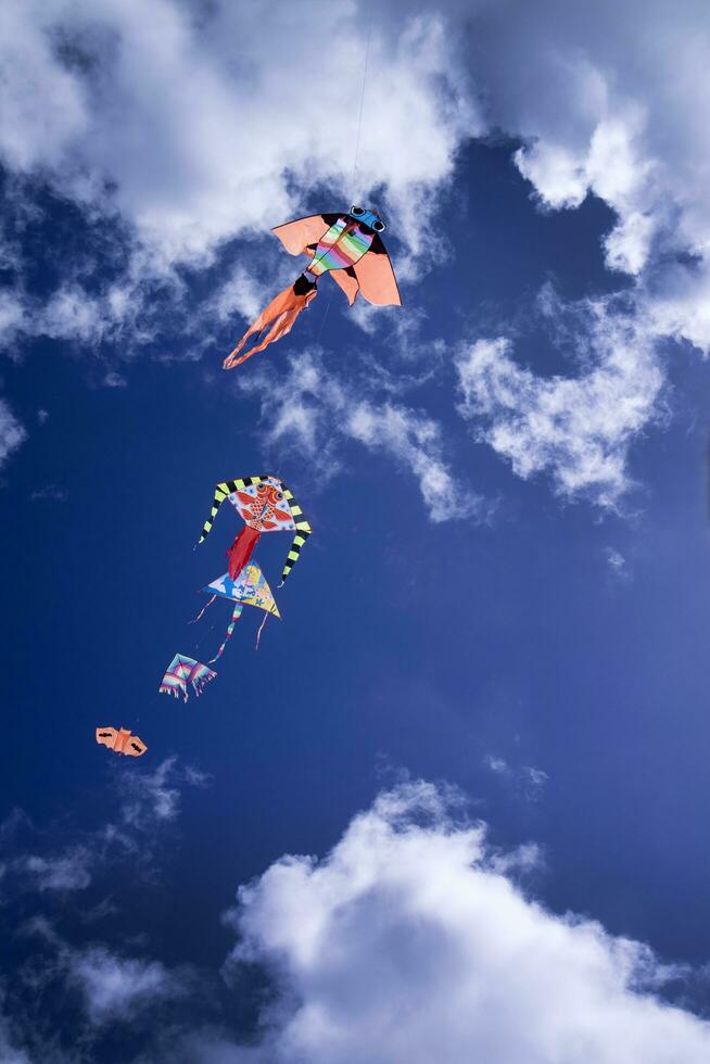 Colorful kite in the sky photo