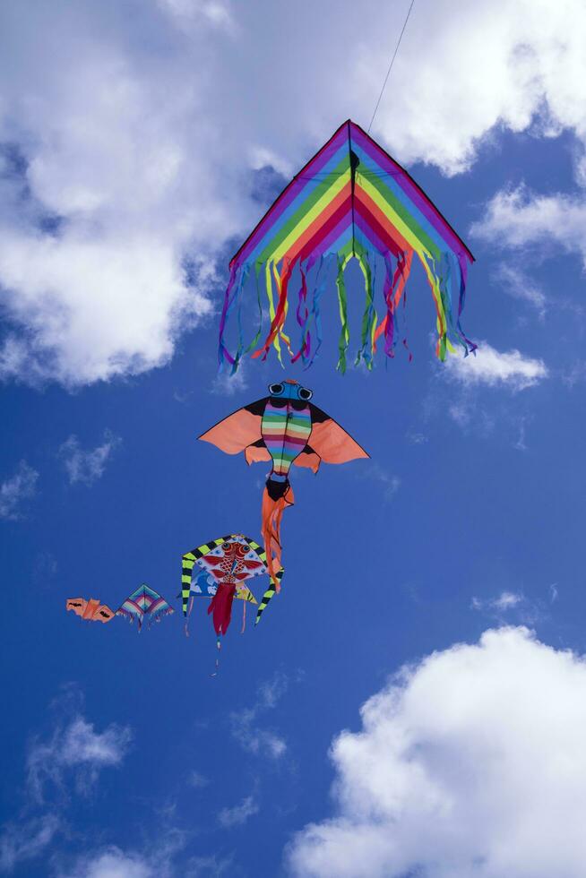 Colorful kite in the sky photo