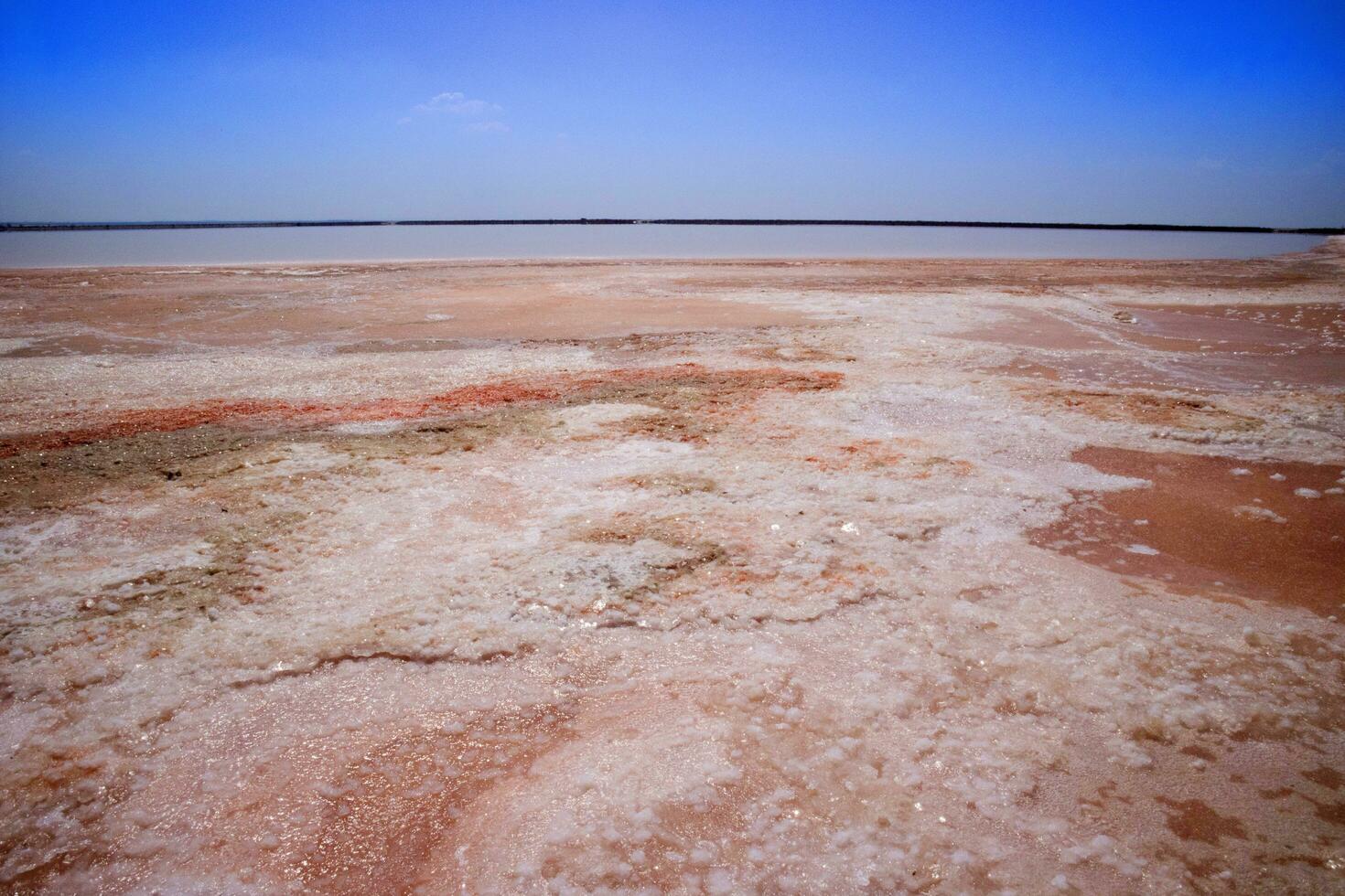 el color de sal foto