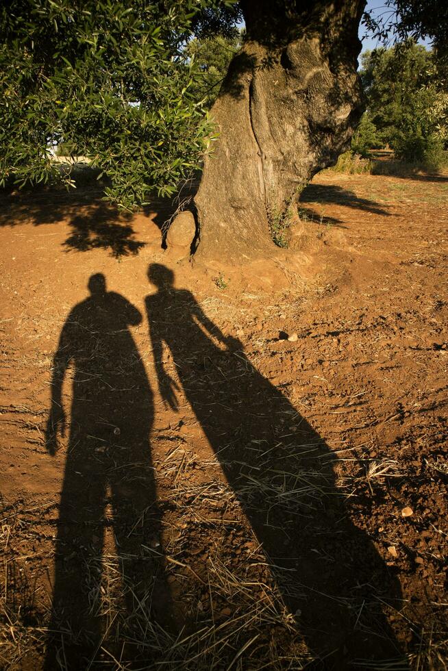 Shadow of person photo