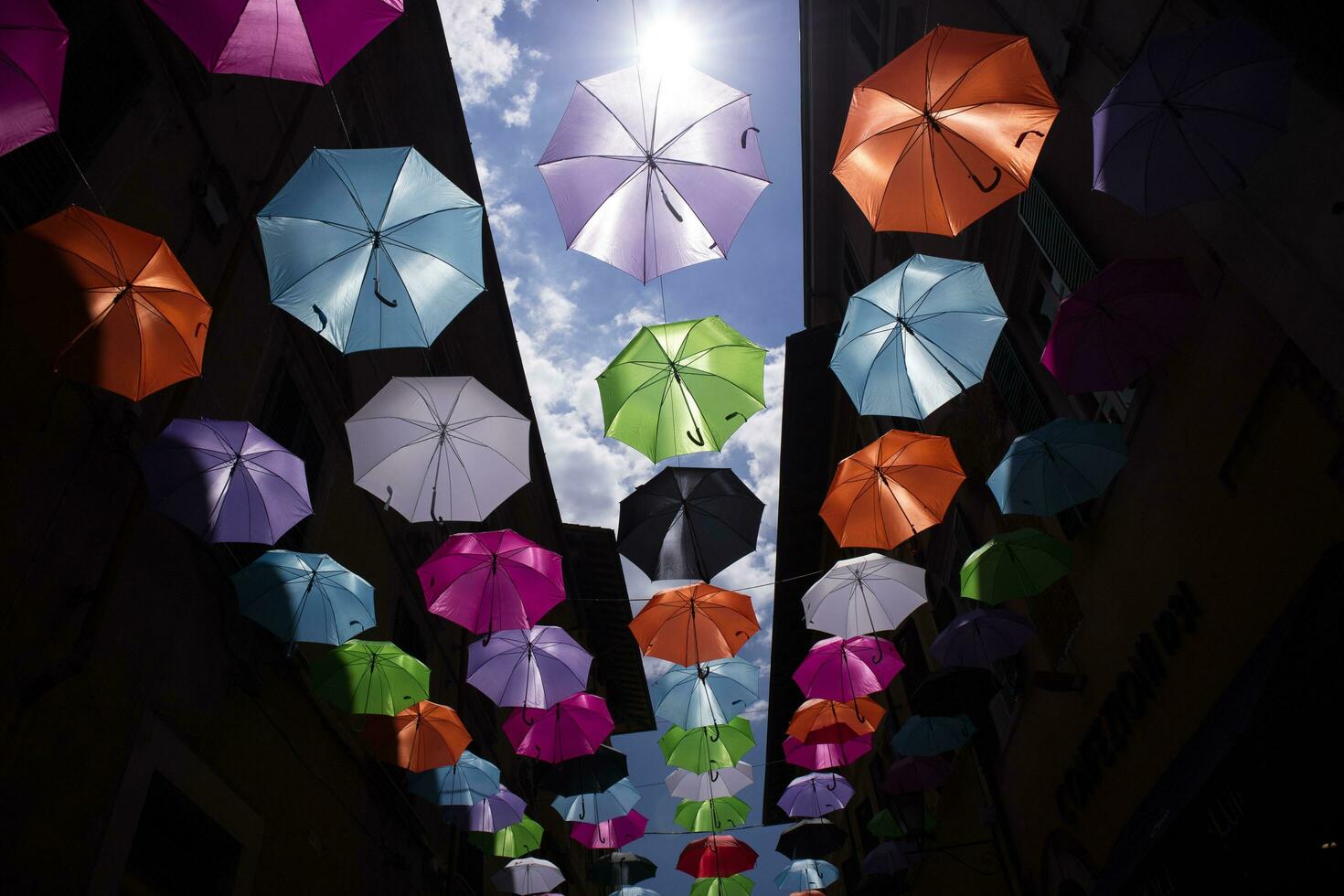 Umbrellas of different colors photo