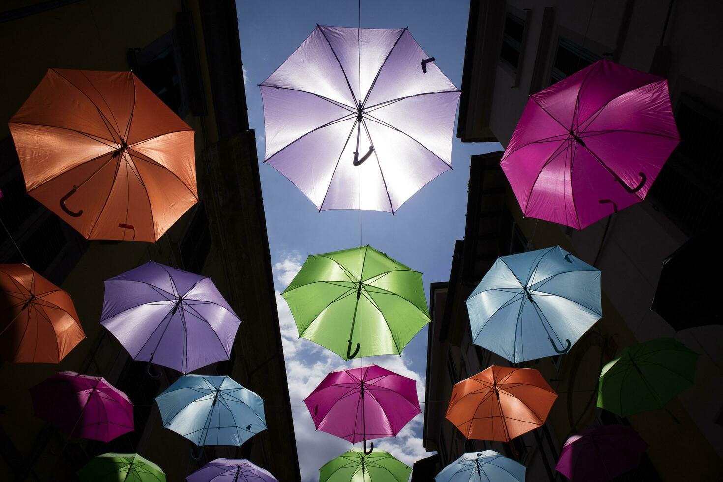 paraguas de diferente colores foto