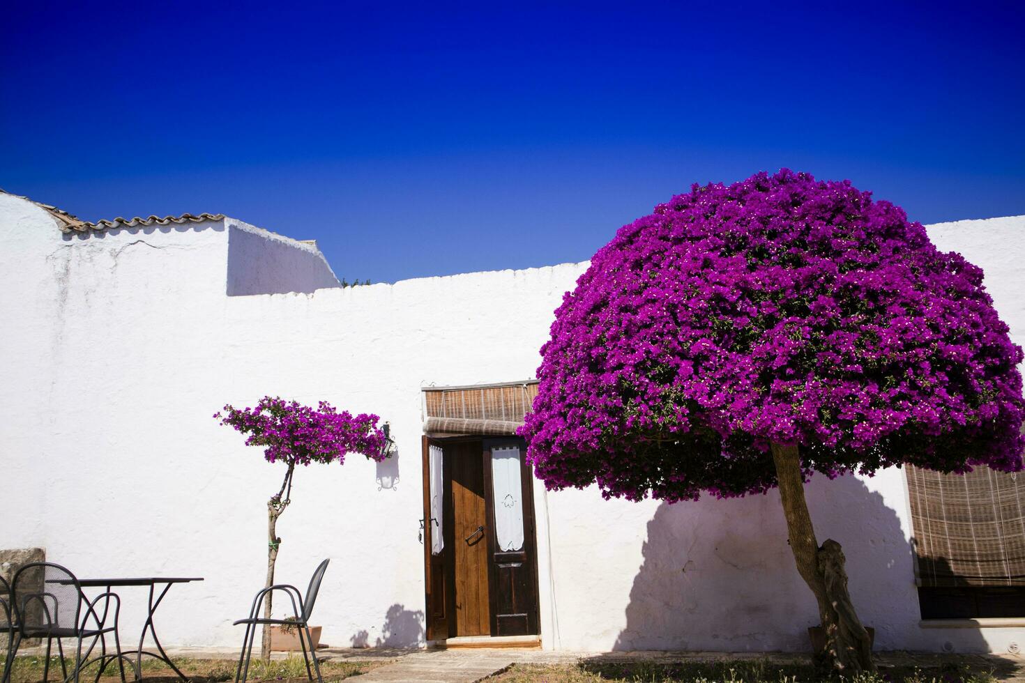 Particular architectural Masseria photo