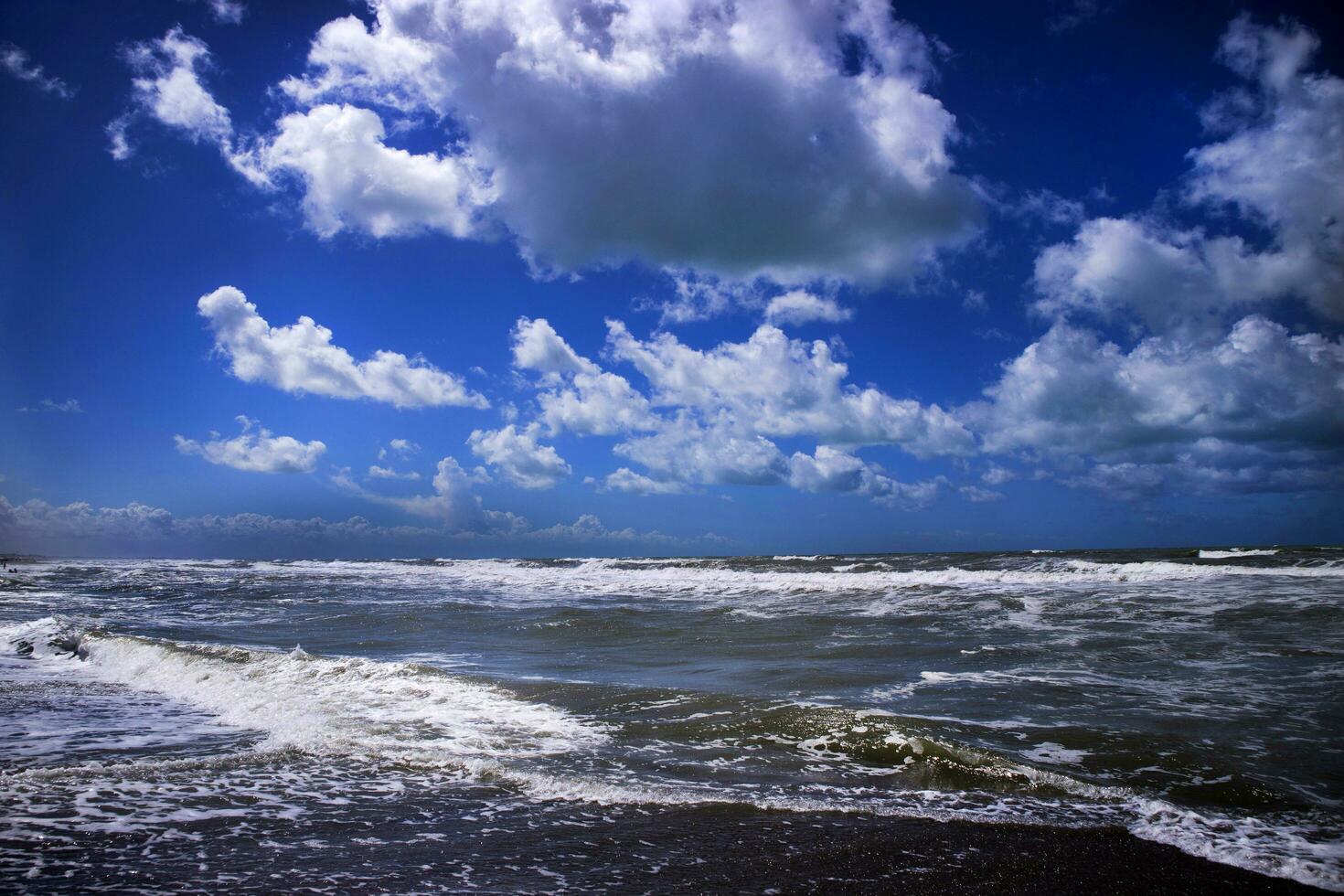 The sea in winter photo