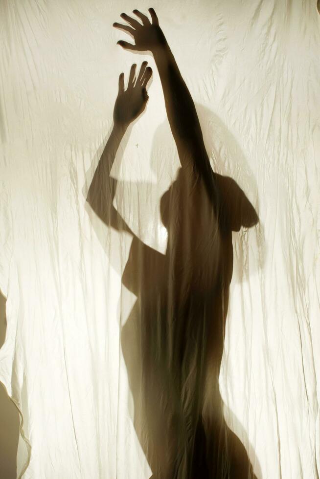 Female Body Transparencies photo