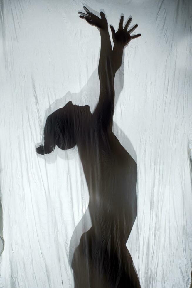 Female Body Transparencies photo