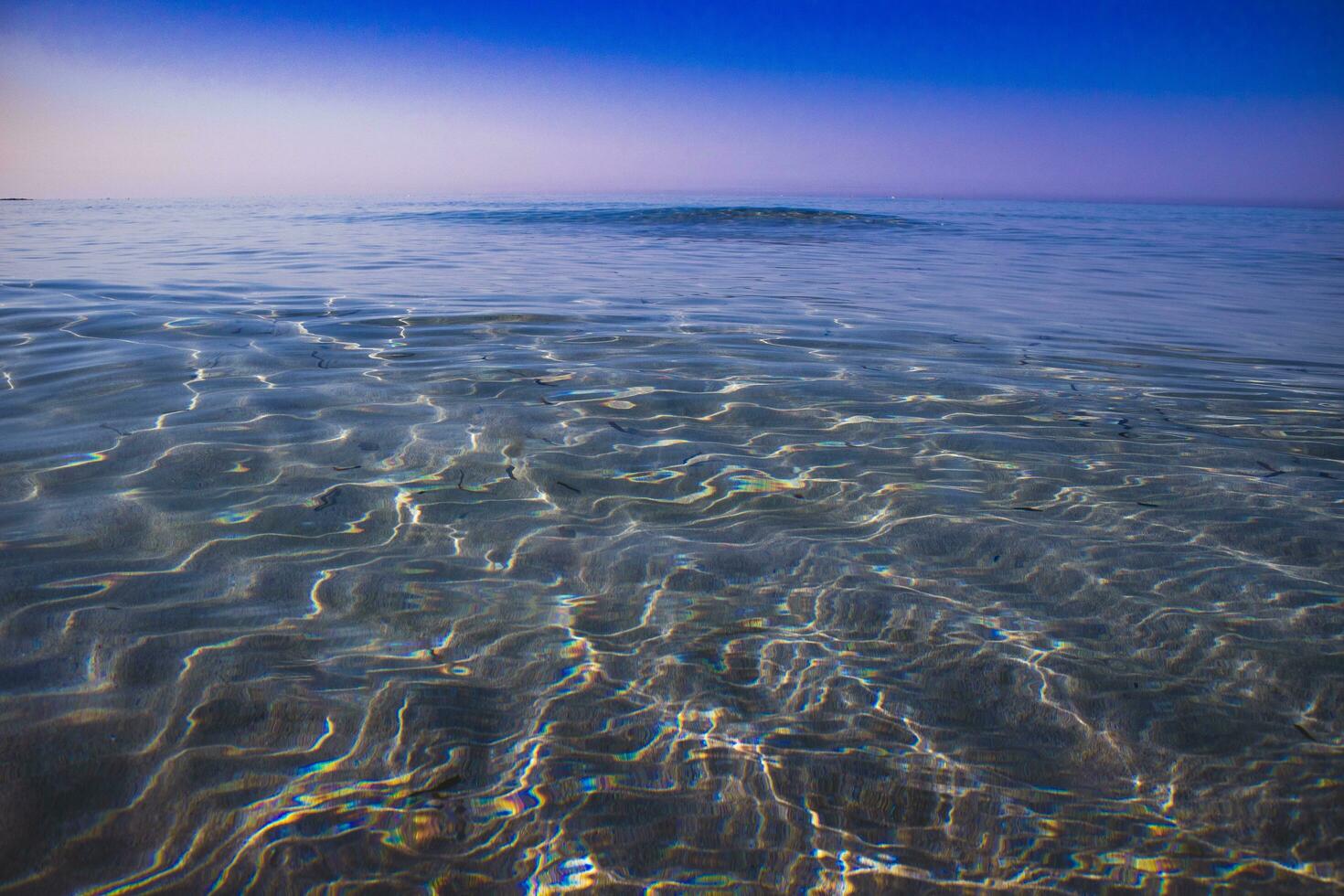The sea in winter photo
