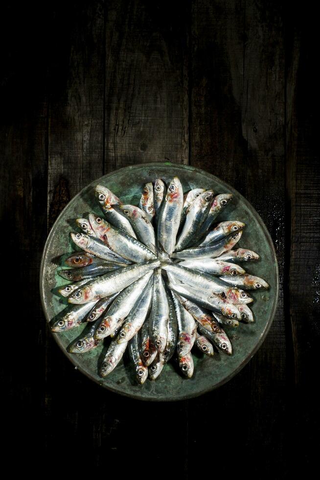 Raw anchovies in dish photo