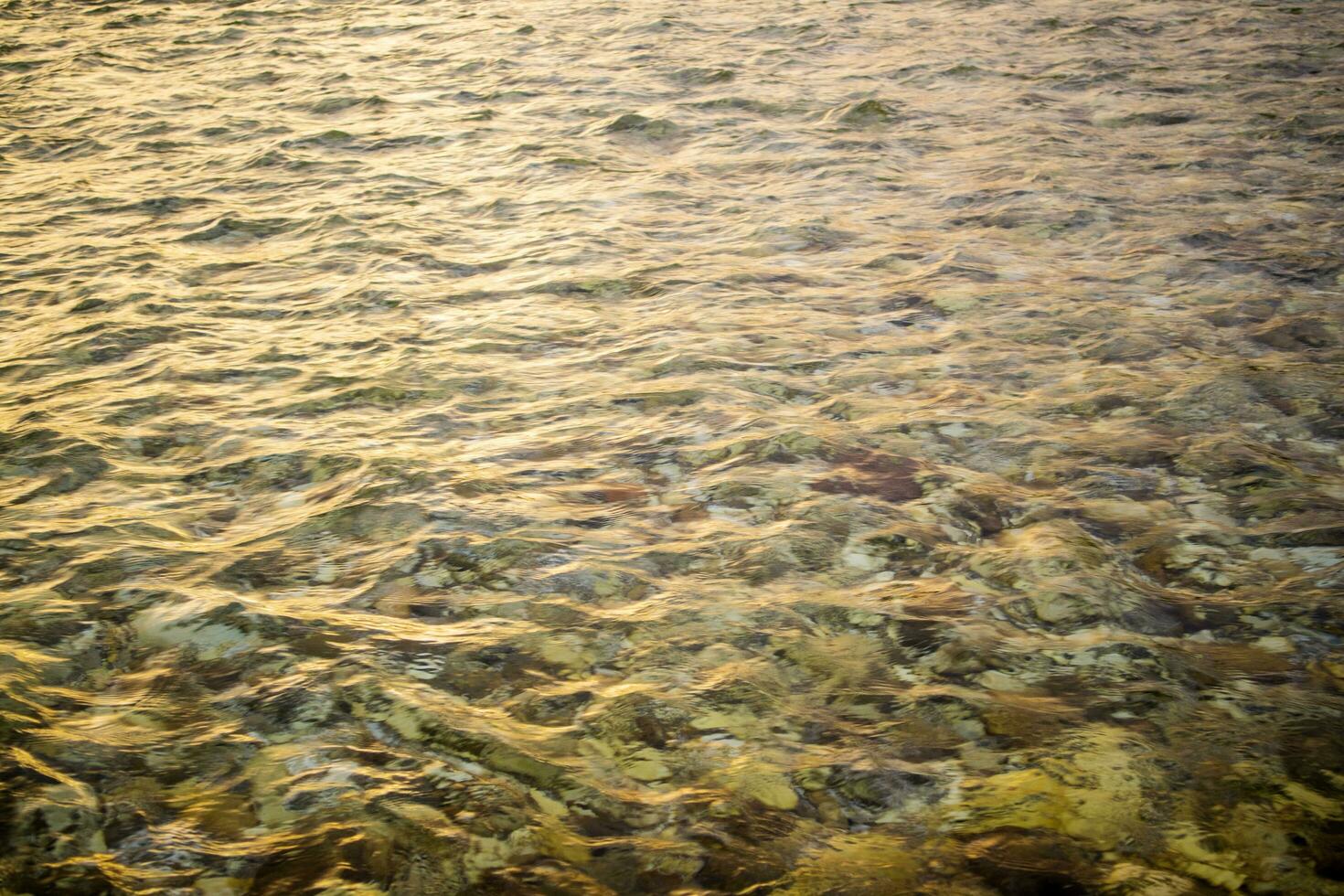 Stones in the river bed photo