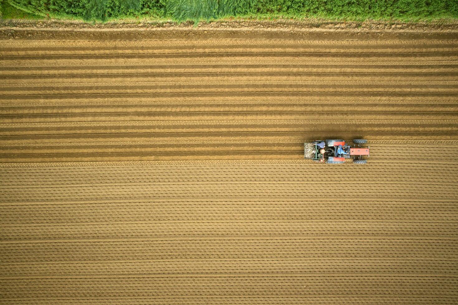 Farming Pattern Stock Photos, Images and Backgrounds for Free Download