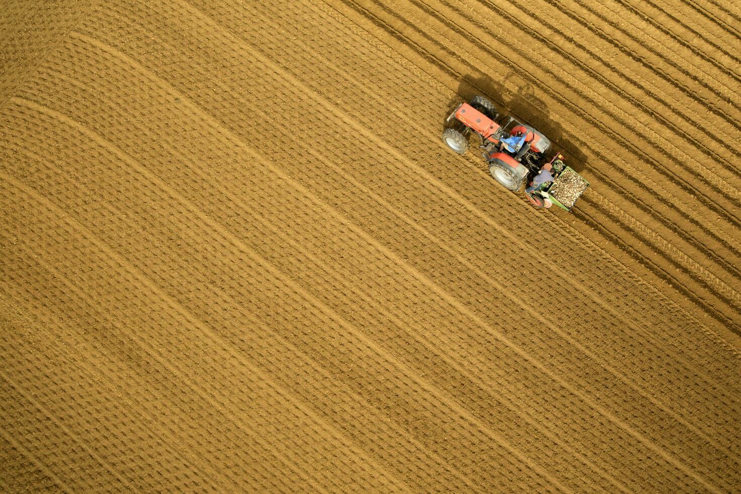 Plow the earth photo