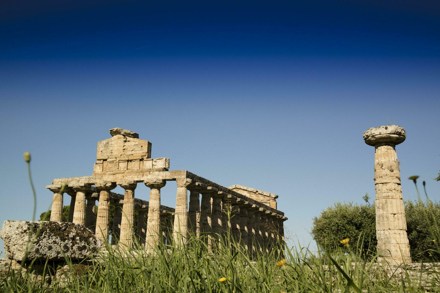 The ancient ruins of Paestum photo