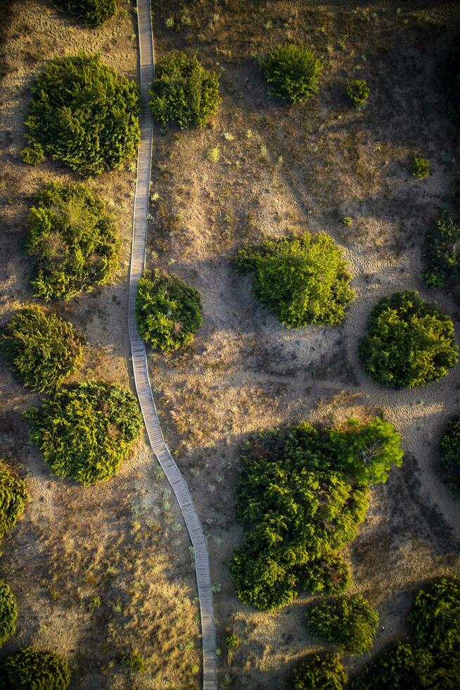 peatonal camino para minusválido personas foto