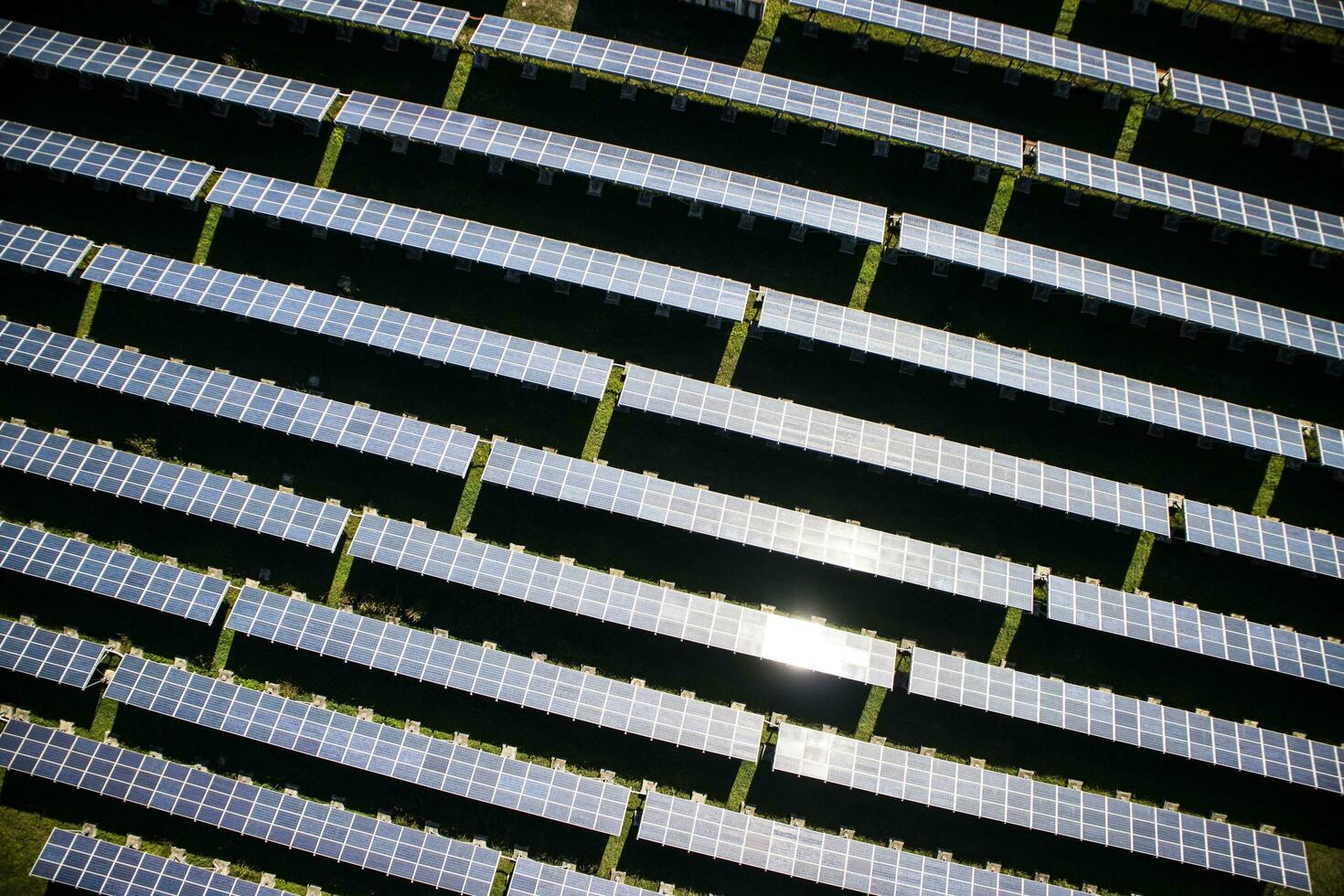 Panels for electricity photo