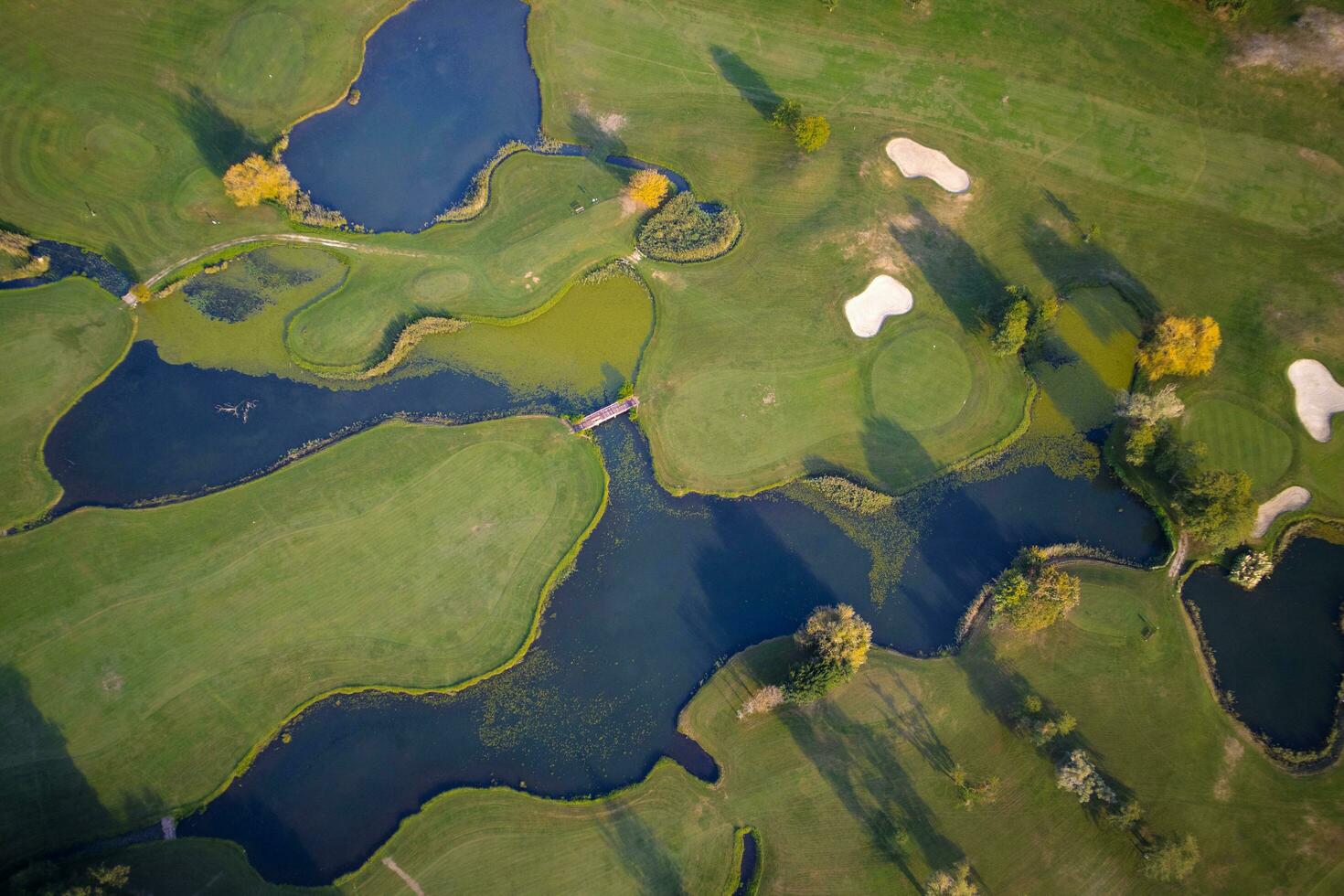 Field for the game of golf photo