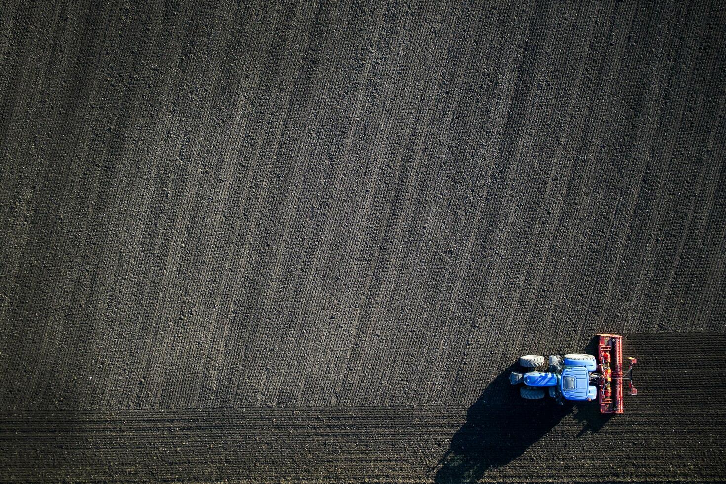 Earth processing in the autumn photo