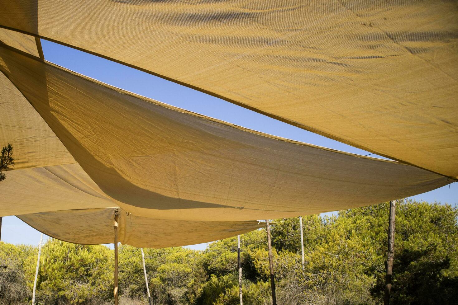 Sails for sun protection photo