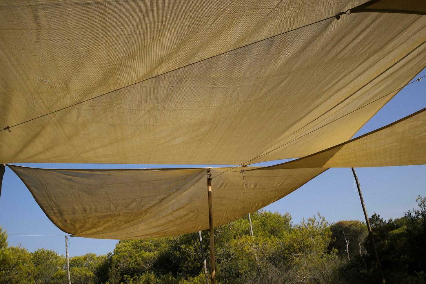 Sails for sun protection photo