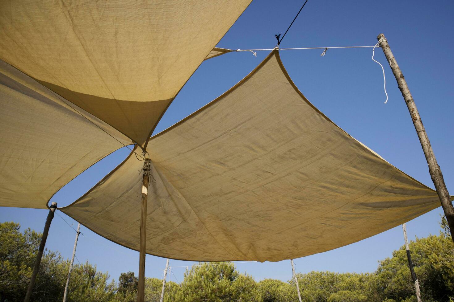 Sails for sun protection photo