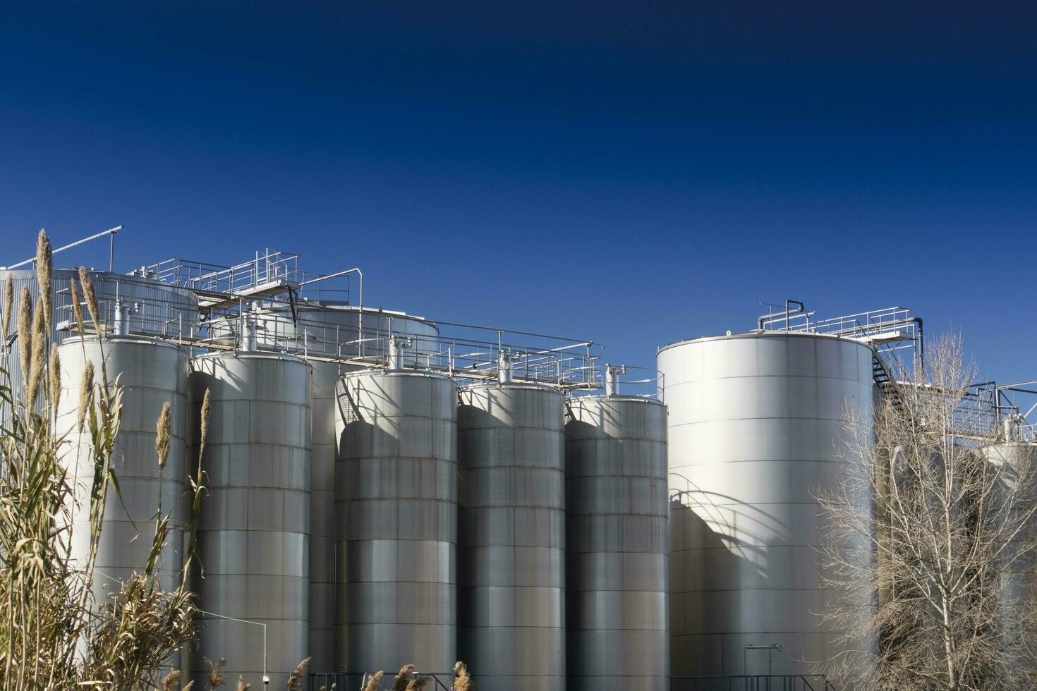 Series of Industrial Silos photo