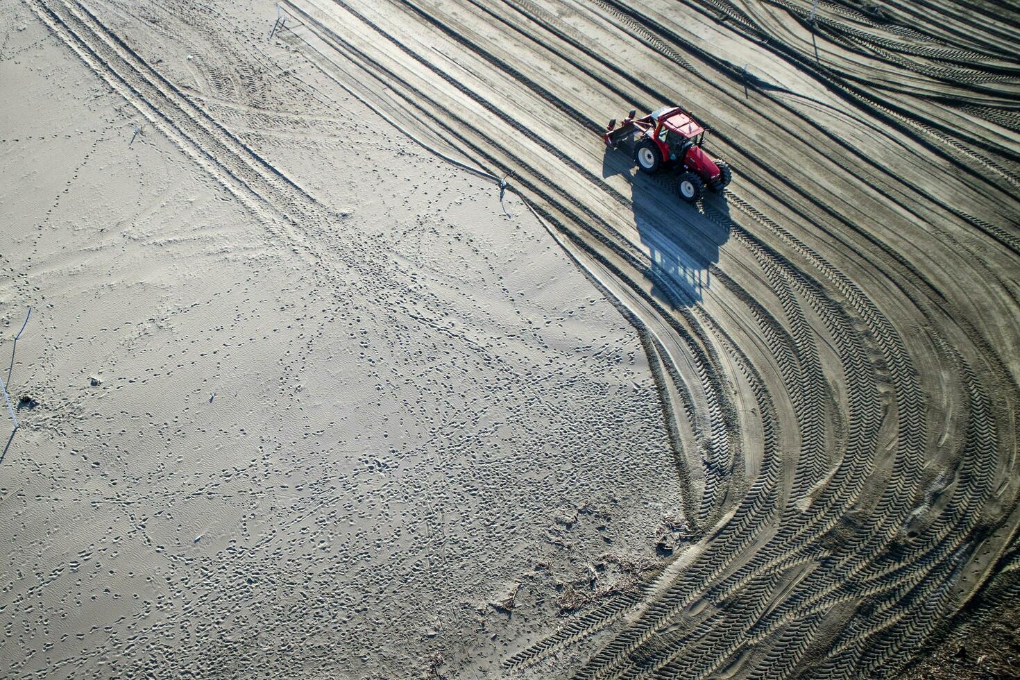 Versilia works to restore the beach photo