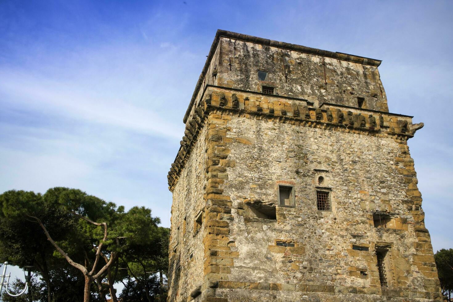 Torre Matilde Viareggio photo