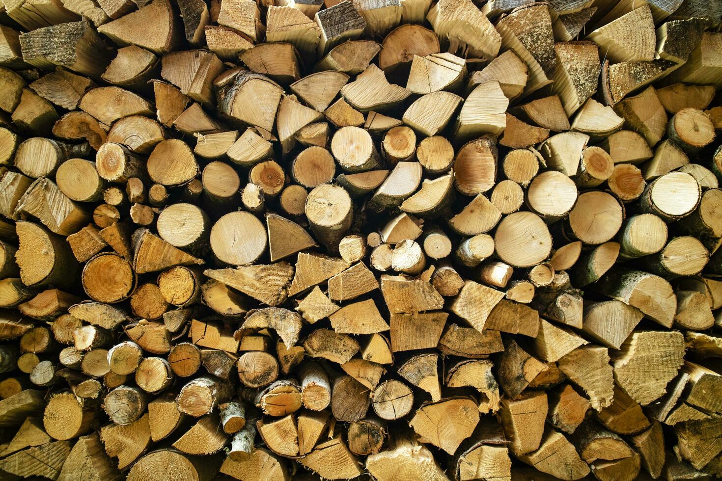 Small pile of wood photo