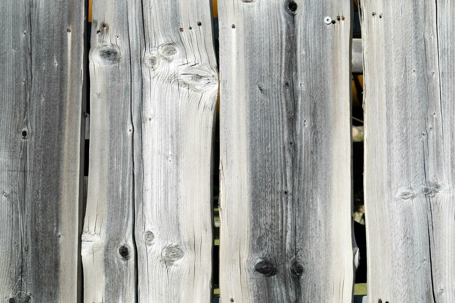 Fence made of wooden planks photo