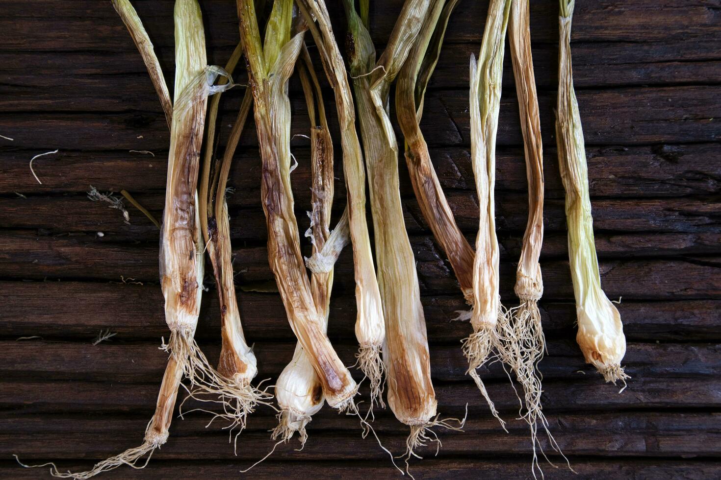 Oven-dried white onion photo