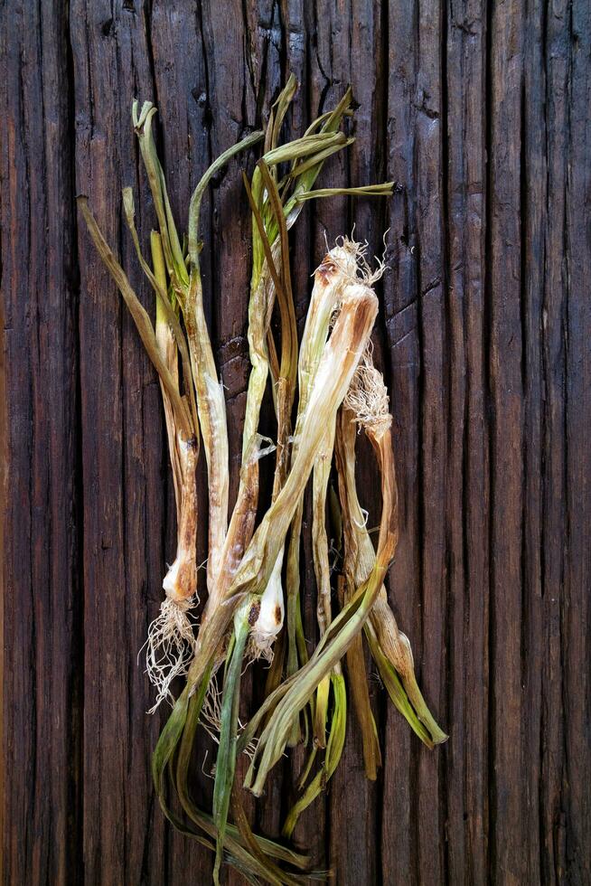 Oven-dried white onion photo