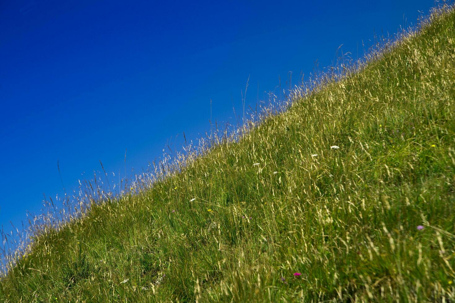 montaña un Pendiente de verde césped foto