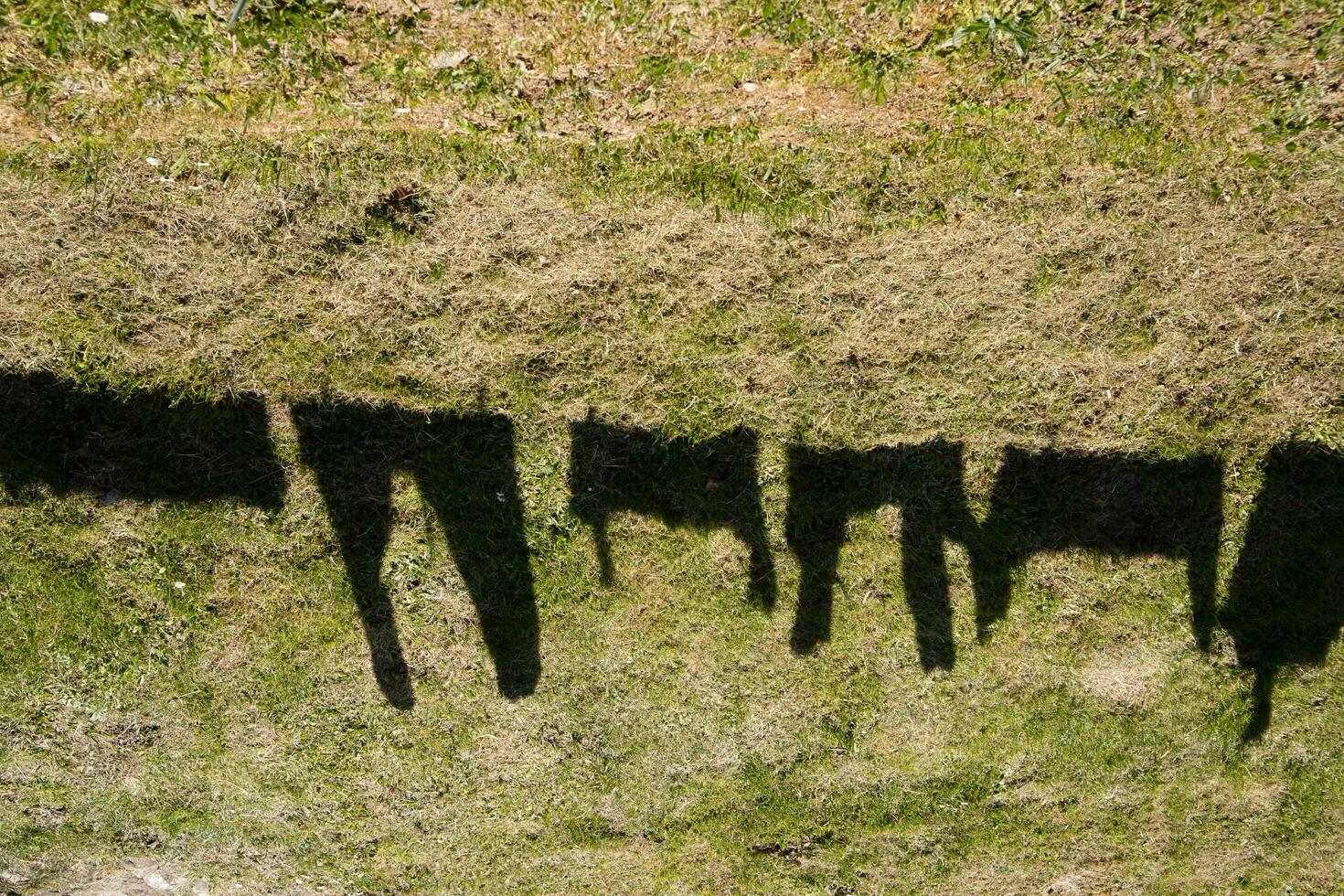 The shadow of clothes hanging photo