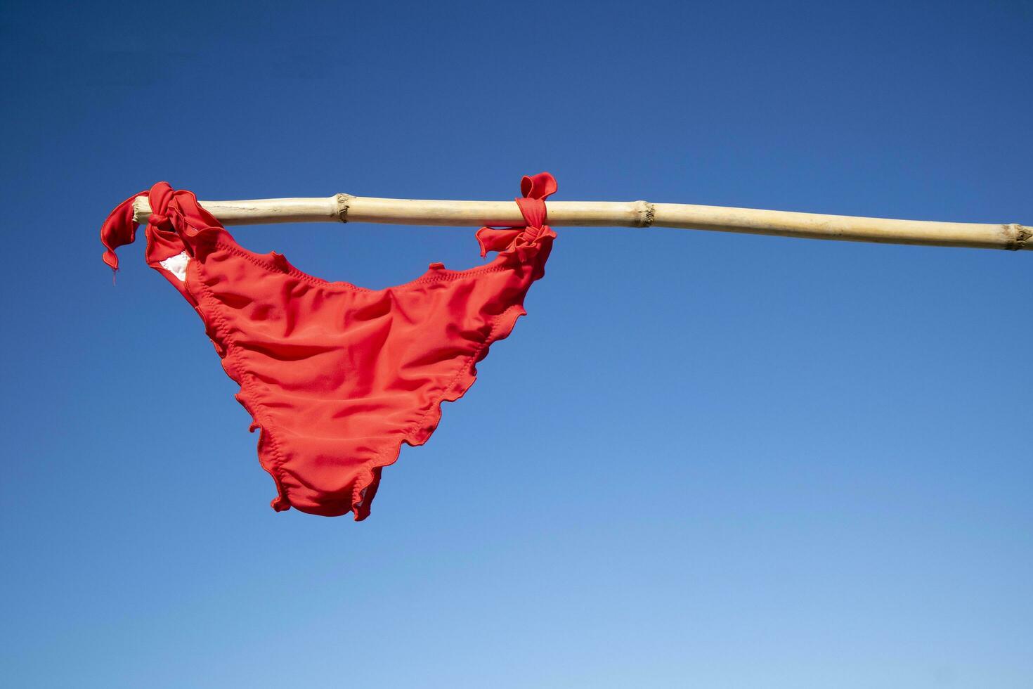 Colorful female swimsuit to dry in the sun photo