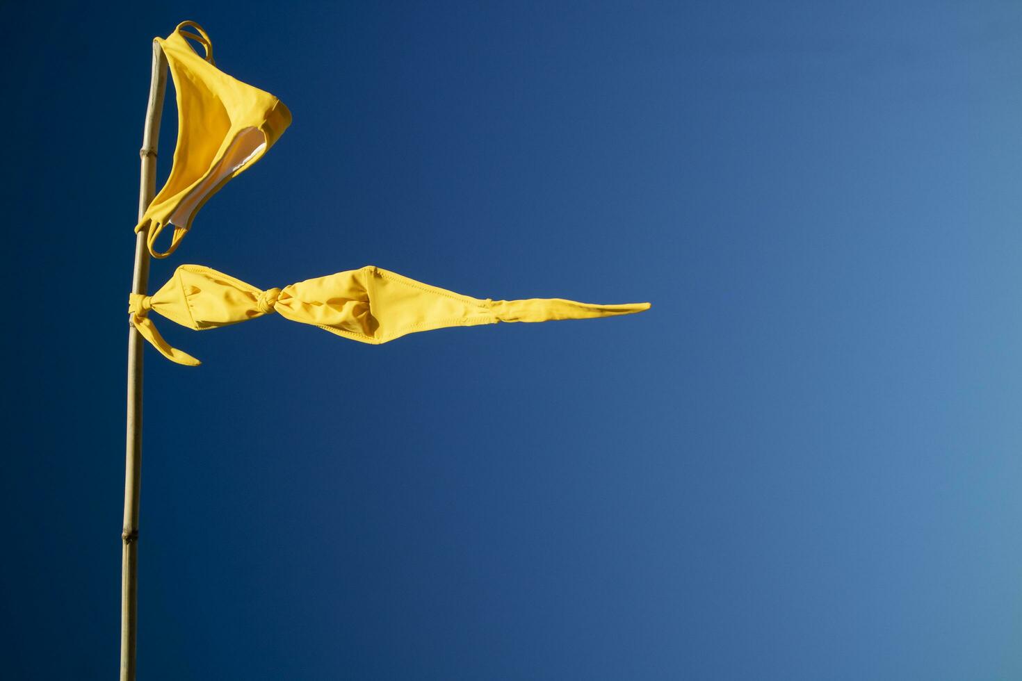 De las mujeres traje de baño a seco en el viento como un bandera foto