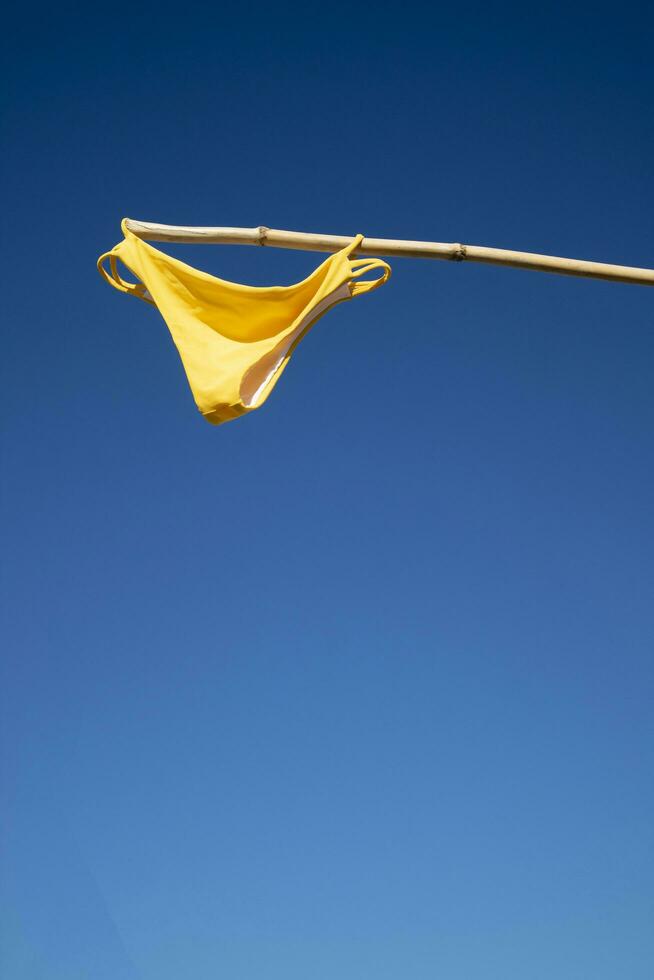 Colorful female swimsuit to dry in the sun photo