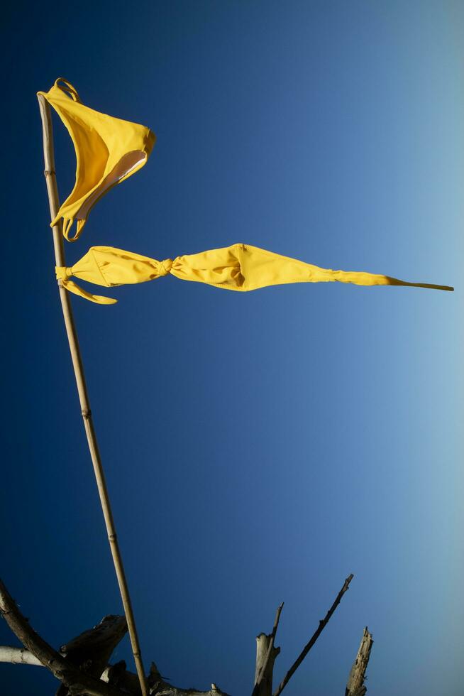 De las mujeres traje de baño a seco en el viento como un bandera foto