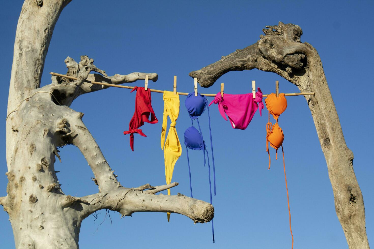 Women's swimsuit to dry on a free beach photo