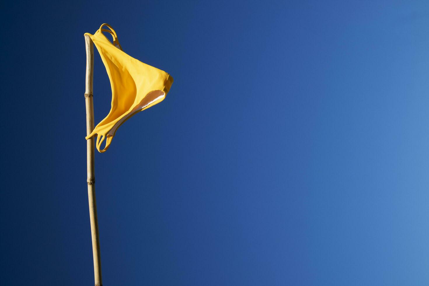 De las mujeres traje de baño a seco en el viento como un bandera foto