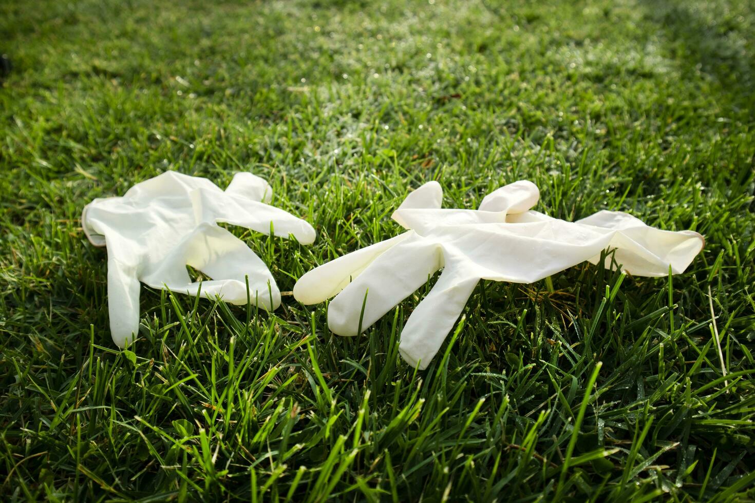 Disposable anti Coronavirus gloves thrown on the ground photo