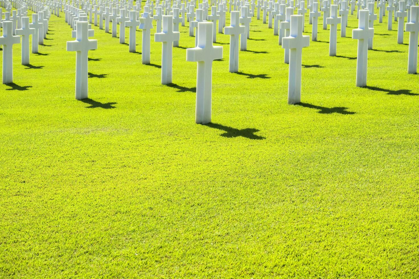The white crosses of the war cemetery in Florence photo