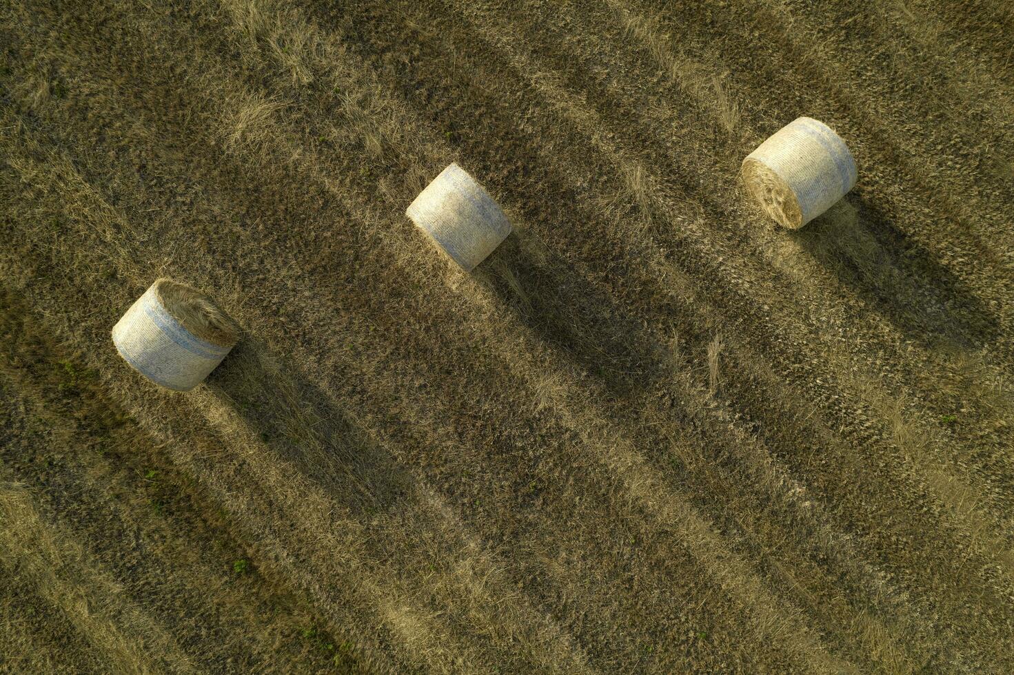 Classic straw balers in the summer season photo