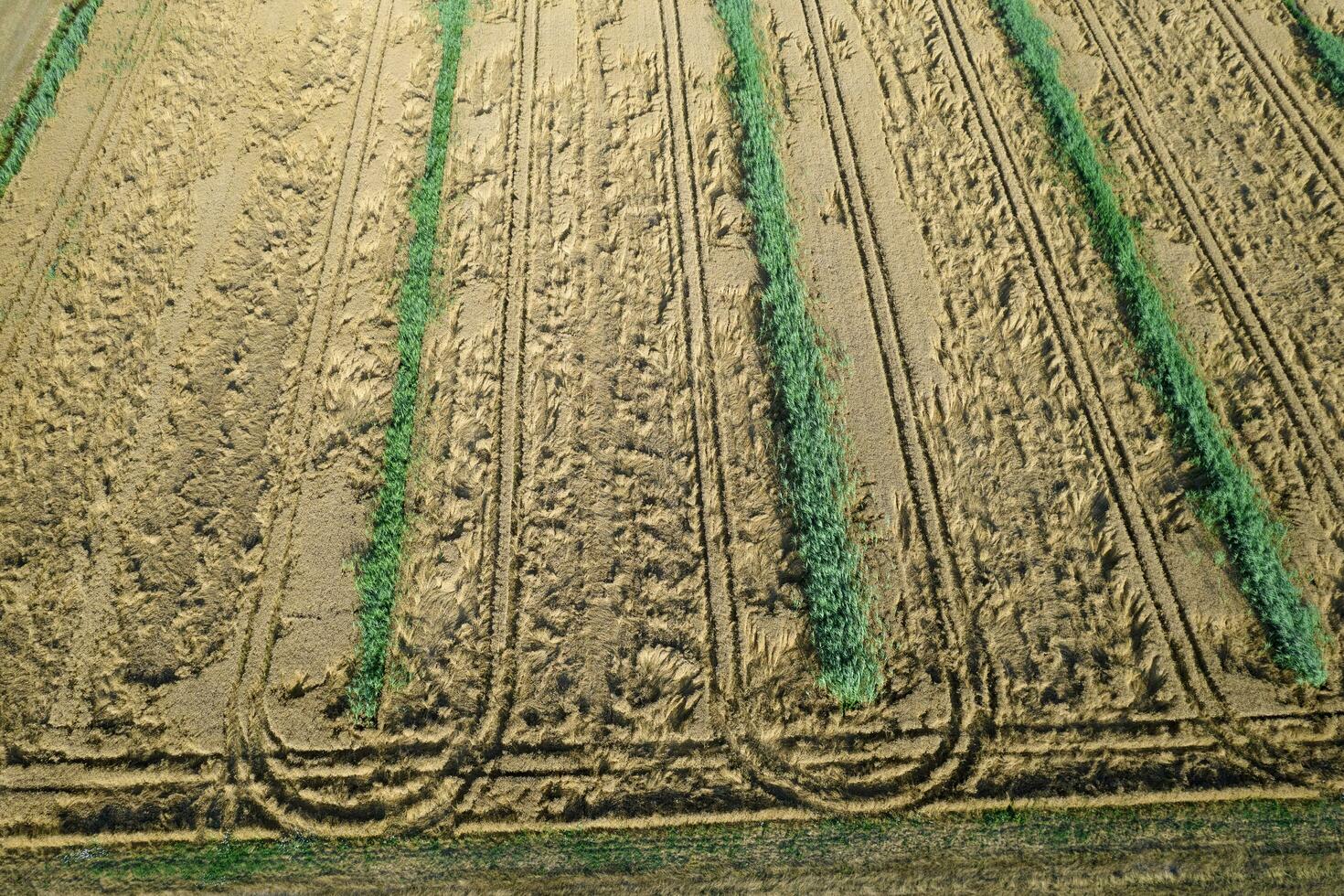 Cultivation of the fields seen from above photo