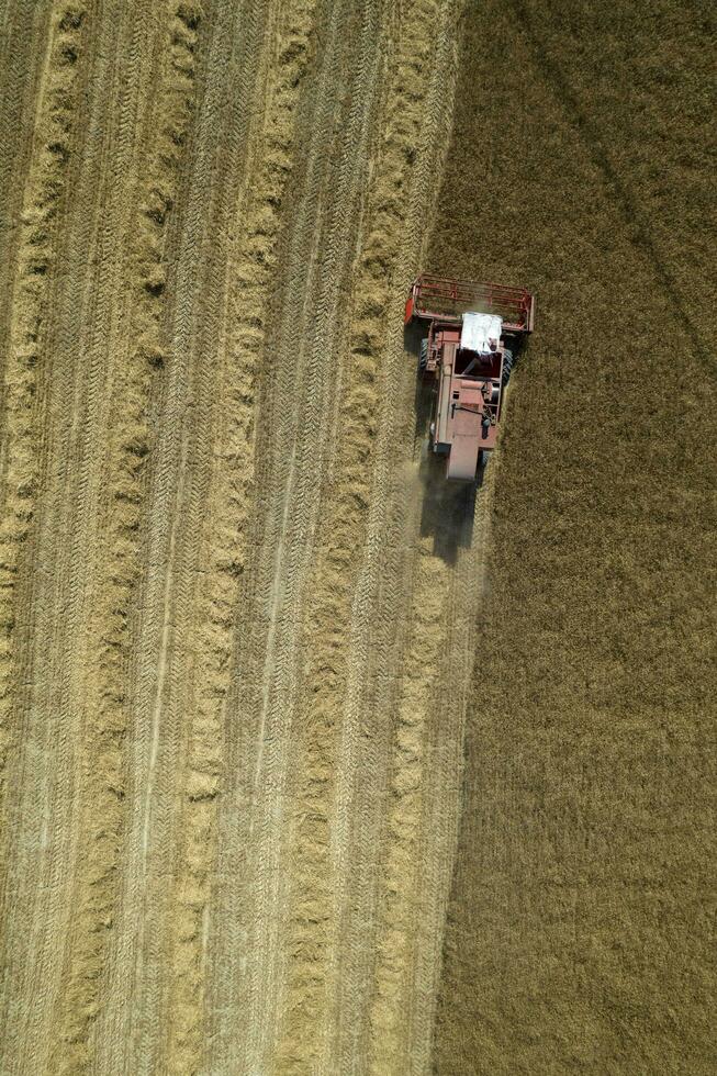 The work of a wheat harvester in the summer photo