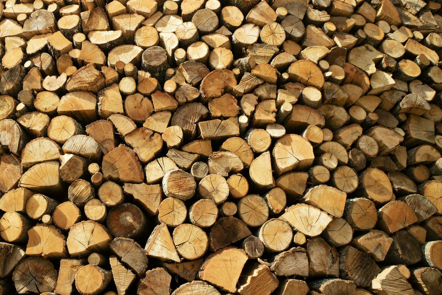 Stock of firewood for the winter photo